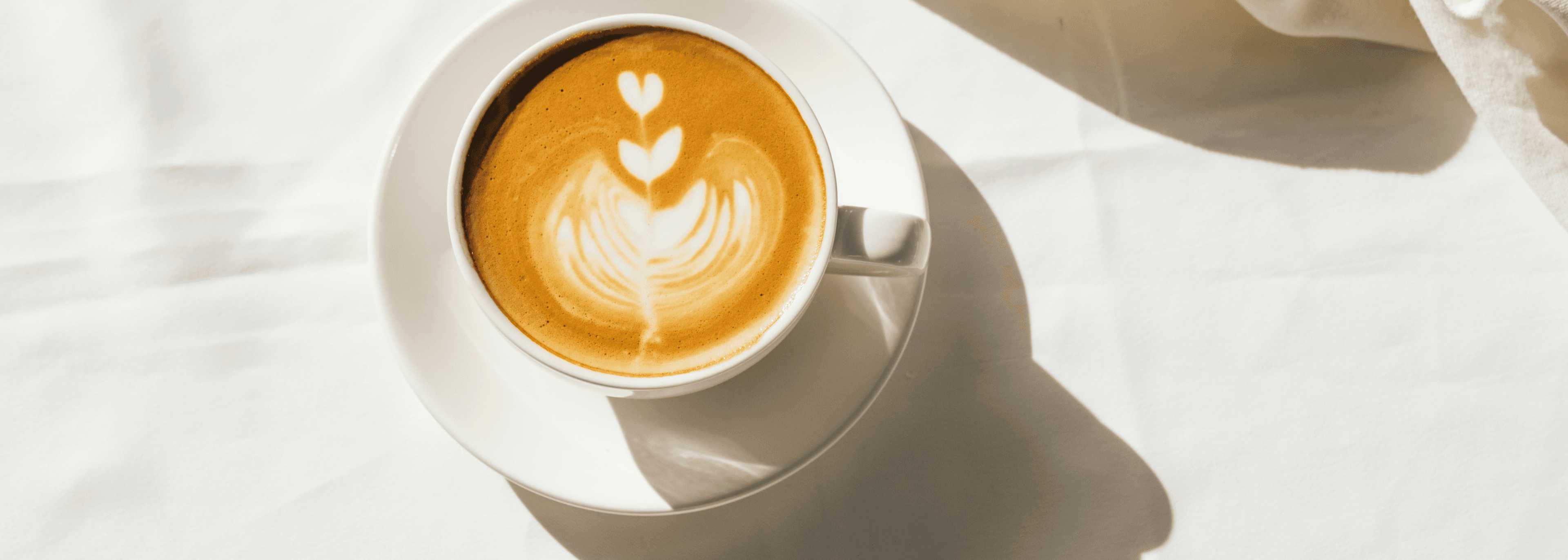Brown Modern Coffee SEEK Cover Image